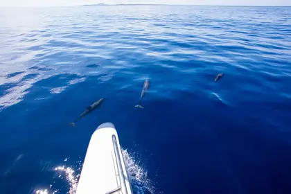 /book-tours/Blue-Finn/Blue-Finn-Klein-Curacao-6.jpg